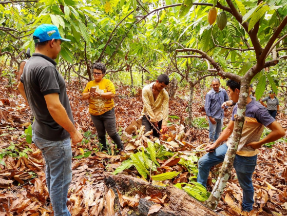 Fipecafi - Projetos e Pesquisas